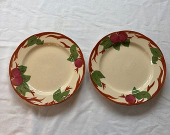 フランシスカンアップルディナープレート2枚セット 手描き陶器 10.75インチ