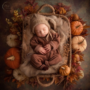 May include: A sleeping baby wearing a brown outfit and a knit hat with bunny ears, nestled in a woven basket. The basket is surrounded by pumpkins, fall leaves, and foliage, creating a seasonal autumn theme.