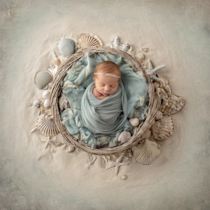 May include: A newborn baby wrapped in a light blue blanket, nestled in a woven basket surrounded by seashells and starfish. The baby wears a white headband, creating a serene, beach-themed portrait.