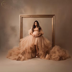May include: A woman in a flowing, peach-colored tulle maternity gown poses inside a large, ornate gold frame. The dress features a high-low hemline and ruffled sleeves. The background is a soft, neutral tone.
