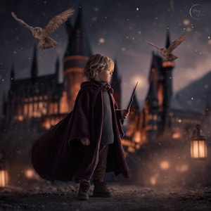 Könnte beinhalten: Ein Kind in einem bordeauxfarbenen Umhang und einem grauen Pullover hält einen Zauberstab vor einem Schloss bei Nacht. Zwei Eulen fliegen im Hintergrund, in einer magischen, fantastischen Szene. Das Bild wird von weichem Licht beleuchtet.