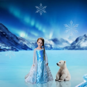 Polar Bear Digital Background, Polar Bear Digital Backdrop, For Photography Compositions, Backdrop For Photography, INSTANT DOWNLOAD