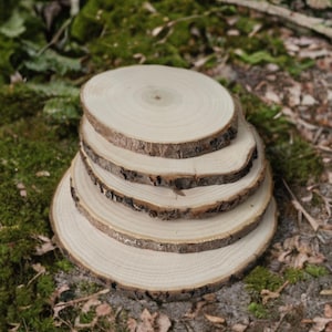 May include: Five natural wood slices are stacked, showing growth rings and bark edges. The light wood contrasts with the darker bark and the green mossy background. These rustic wood rounds are suitable for crafts and decoration.