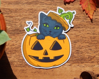Black Cat in a Halloween carved Pumpkin