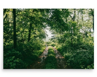 Green Forest Nature Poster
