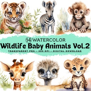 14 wild animal baby cliparts package Vol. 2, cute watercolor animals clipart, transparent, animal PNG, digital download, DIY home, commercial use, kids