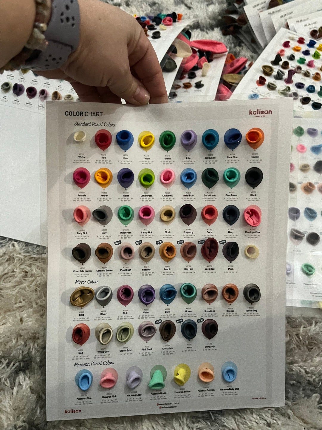 Kalisan Color Chart W/balloons Etsy