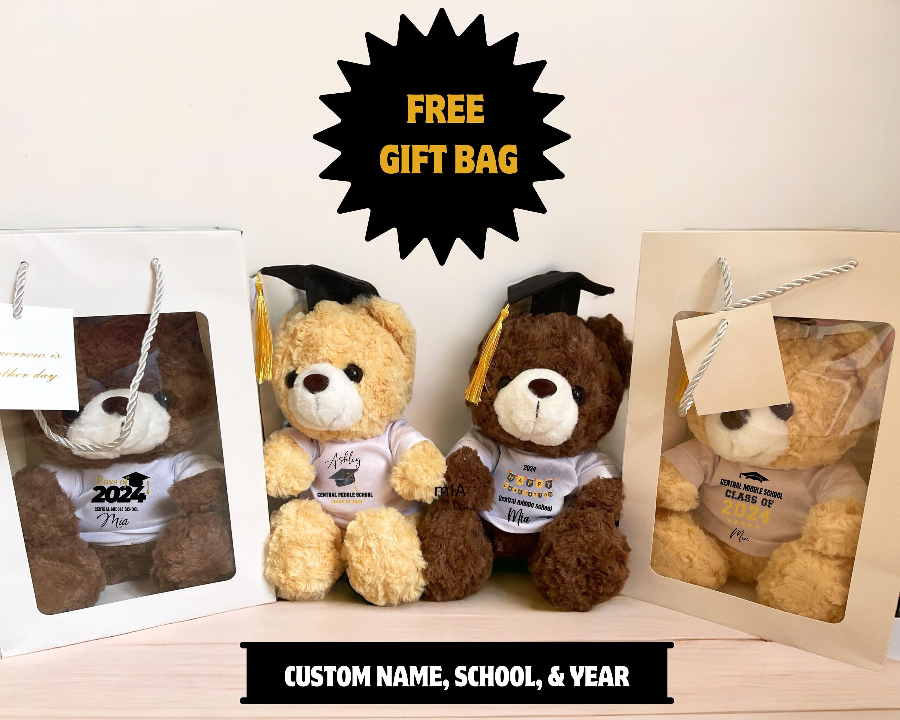 Custom graduation teddy bear, personalized school, name graduation year, graduation gift,senior gift,please bear with cap,2024 graduation