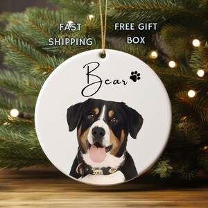 Custom pet portrait ornament,personalized pet christmas ornament,dog lover ornament gift,cat lover ornament gift,pet keepsake christmas gift