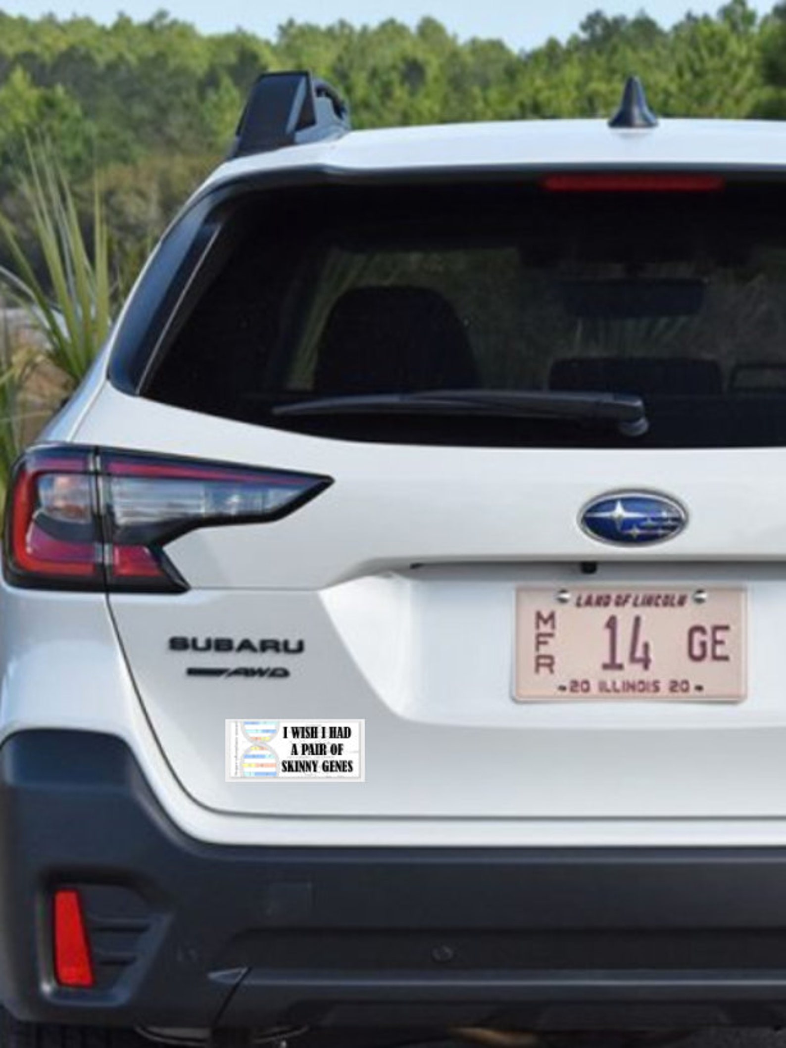 Bumper Sticker, Funny, Window Decal, Hilarious Humor, Car,truck, Suv ...