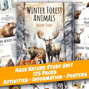 WINTER FOREST Animals Nature Unit, Winter Unit Study, Life Cycle, Anatomy, Worksheets, Winter Homeschool, Montessori, Winter Nature Study