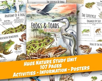 Könnte beinhalten: Ein farbenfroher illustrierter Leitfaden für Frösche und Kröten mit dem Titel "Frogs & Toads Nature Study". Der Leitfaden enthält Informationen über die Anatomie eines Frosches, den Lebenszyklus eines Frosches und Frösche der nördlichen Hemisphäre. Der Leitfaden enthält auch Aktivitäten und Poster. Der Leitfaden umfasst 107 Seiten.