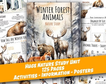 WINTER FOREST Animals Nature Unit, Winter Unit Study, Life Cycle, Anatomy, Worksheets, Winter Homeschool, Montessori, Winter Nature Study