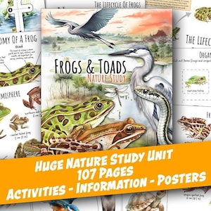 FROG and TOAD Nature Unit, HUGE Printables Collection, Life Cycle, Anatomy, Science, Worksheets, Homeschool, Montessori, Download
