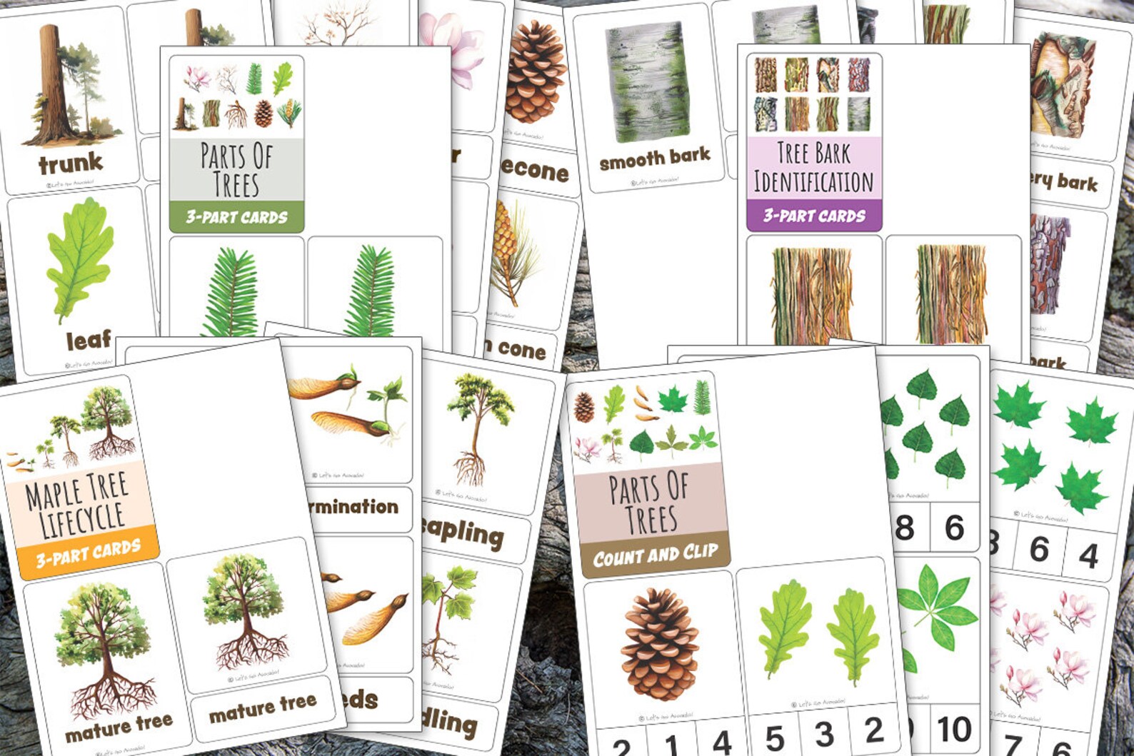 TREE Nature Unit, HUGE Printables Collection, Leaf Shape, Life Cycle ...
