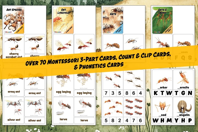 ANTS NATURE Study Unit, UPDATED, Huge Printables Collection, Lifecycle ...