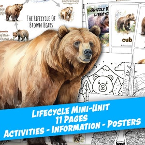 GRIZZLY BEAR LIFECYCLE Arbeitsblatt 11 Seiten, Poster und Beschriftung Aktivität, 3-teilige Karten, Malseite, Homeschool, Montessori, herunterladbar