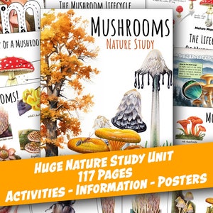 FUNGHI AGGIORNATI Enorme studio sulla natura, Ciclo di vita, Anatomia, Unità di studio, Scienza, Scrittura a mano, Scuola domiciliare, Montessori, Poster, Download IMMEDIATO