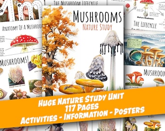 MUSHROOMS UPDATED Huge Nature Study, Life Cycle, Anatomy, Unit Study, Science, Handwriting, Homeschool, Montessori, Poster, INSTANT Download