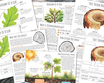 TREE Nature Unit, HUGE Printables Collection, Leaf Shape, Life Cycle, Anatomy, Science, Worksheets, Homeschool, Montessori, Instant DOWNLOAD