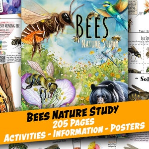 Unidad DE ESTUDIO DE LA NATURALEZA DE LAS ABEJAS, Gran colección de imprimibles, Ciclo de vida, Anatomía, Ciencias, Hojas de trabajo, Juegos, Educación en casa, Montessori, Descargar
