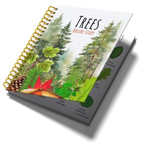 TREE Nature Unit, HUGE Printables Collection, Leaf Shape, Life Cycle ...