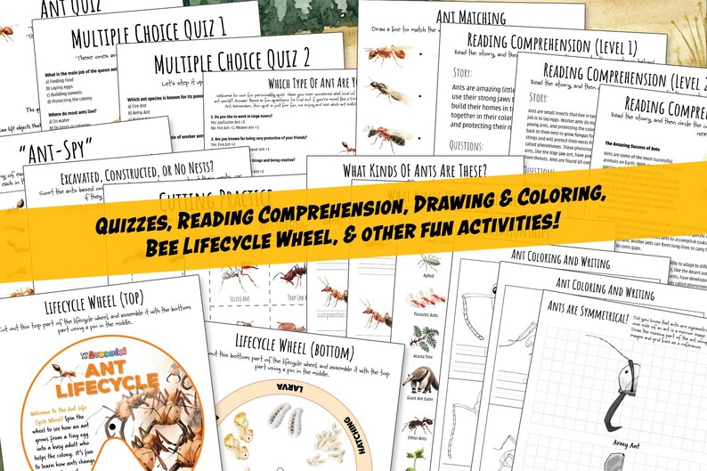 ANTS NATURE Study Unit, UPDATED, Huge Printables Collection, Lifecycle ...