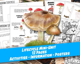 MUSHROOM LIFECYCLE Worksheet 12 Pages, Poster and Labeling Activity, 3-Part Cards, Coloring Page, Homeschool, Montessori, Downloadable