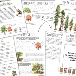 TREE Nature Unit, HUGE Printables Collection, Leaf Shape, Life Cycle ...