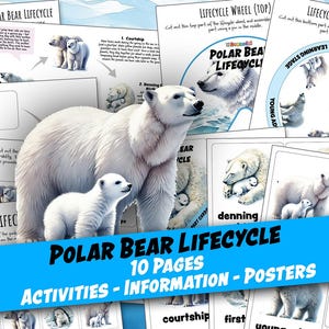 CICLO DE VIDA DEL OSO POLAR, Estudio de unidad, Imprimibles para la educación en el hogar, Ciclo de vida, Ciencia, Hojas de trabajo, Montessori, Charlotte Mason, Descargar