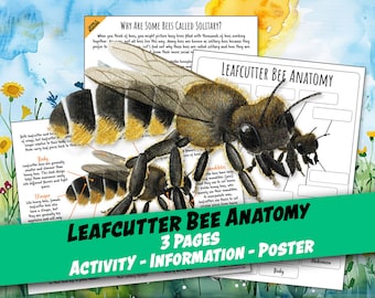 LEAFCUTTER BIJ ANATOMIE Werkblad 3 pagina's, Bijenposter en etiketteringsactiviteit, Bijeninformatie, Homeschool, Montessori, Instant Download