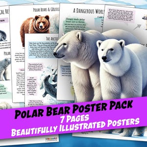 CARTELES DE OSO POLAR, Estudio de unidad, Imprimibles para educación en el hogar, Ciclo de vida, Anatomía, Ciencia, Hojas de trabajo, Montessori, Charlotte Mason, Descargar