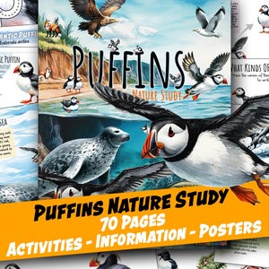 May include: A colorful educational poster titled "Puffins Nature Study" with illustrations of puffins, seals, and other wildlife. The poster includes the text "70 Pages, Activities, Information, Posters."