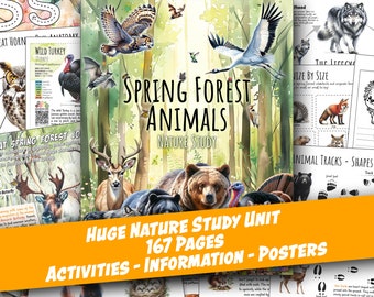 SPRING FOREST Animals Nature Unit, HUGE Printables Collection, Life Cycle, Anatomy, Science, Worksheets, Homeschool, Montessori, Download