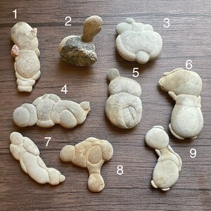 Feestenen 6