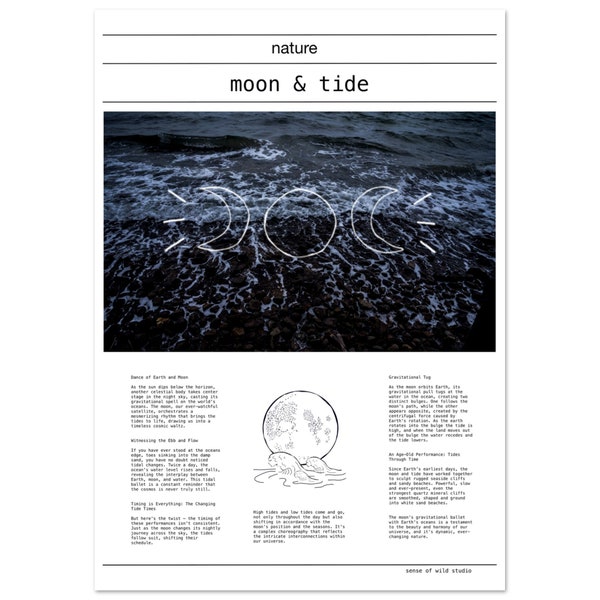 Moon & Tide - Sense of Wild Magazin