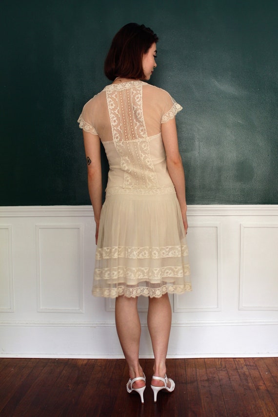 1920s Embroidered Bobbinet and Lace Dress