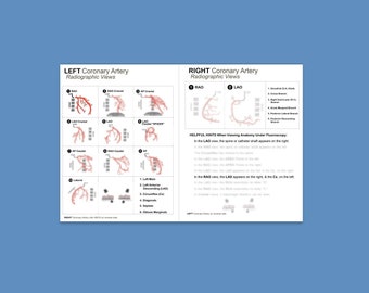 Könnte beinhalten: Ein Diagramm, das die verschiedenen radiographischen Ansichten der linken und rechten Koronararterien zeigt. Das Diagramm enthält Beschriftungen für jede Ansicht sowie hilfreiche Hinweise zur Betrachtung der Anatomie unter Fluoroskopie.