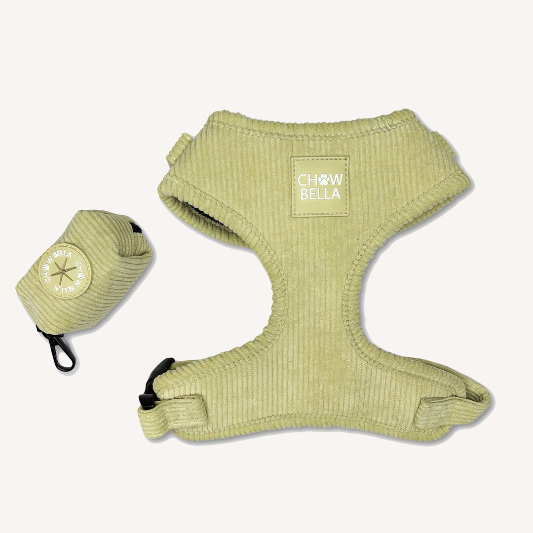 Sage Green Dog Matching Corduroy Set Harness Adjustable Mint Leash