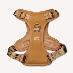 Tan Dog Harness Matching Luxury Set Adjustable | Tan | Waist Leash | Cushioned | Soft Padded | Modern | No Pull | Leash Lead Poo Bag