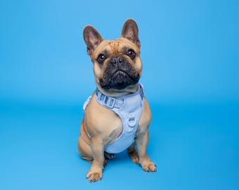 Ensemble harnais de luxe réglable MoveLite pour chien bleu assorti | Bleu | Laisse | Rembourrée | Rembourrage doux | Moderne | Aucune traction | Sac à caca en laisse en plomb