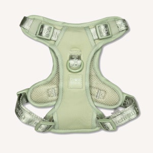 Mint Green Dog Matching Luxury Set Harness Adjustable | Mint | Leash | Cushioned | Soft Padded | Modern | No Pull | Leash Lead Poo Bag