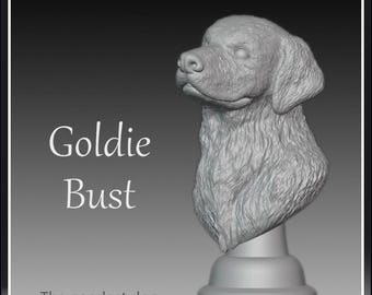Golden retriever/labrador dog 3d printed bust for miniature painters