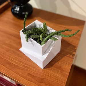 Pode incluir: Uma floreira branca e geométrica com um design em degraus, contendo uma planta suculenta verde. A floreira está sobre uma superfície de madeira. A planta tem vários caules verdes.