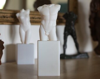 Male Torso - Home Decor