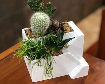 Maceta - Decoración del hogar