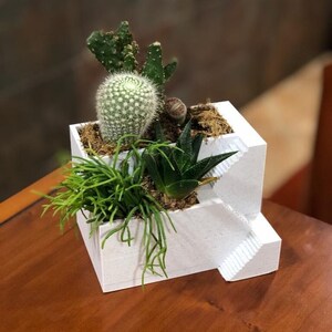 May include: A white ceramic planter with a stepped design, featuring a variety of succulents, including a cactus, a small succulent with green leaves, and a long, thin succulent with green leaves.