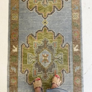 May include: A rectangular runner rug featuring a light blue central field with two large, symmetrical geometric medallions in shades of olive green, charcoal gray, and muted orange. The border is a brown tone with small, repeating floral motifs.
