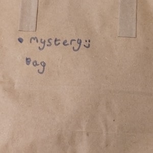 Mystery Bow Bag