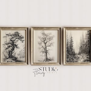 Vintage Baum Skizze Galerie Wanddruck 3er Set | Baum Skizzen Graphitdruck | Digitaler DOWNLOAD | Studio Fleury Prints | G-0001